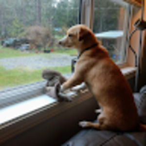 Meet your Posher, Marie